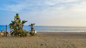 IMG_20220617_204921